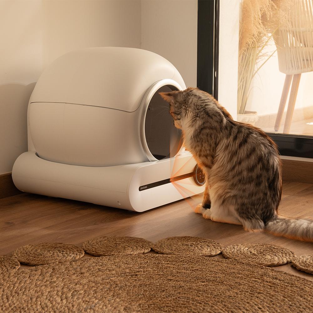 Pumba 8000 CleanKitty Smart