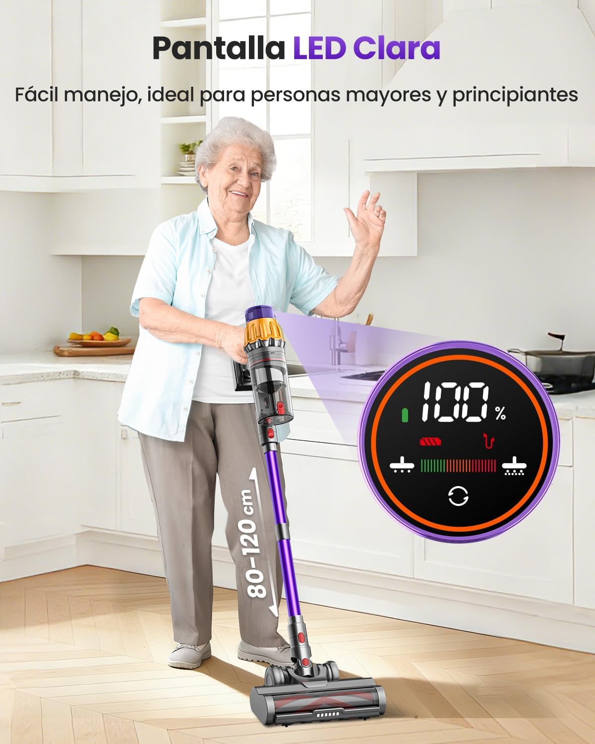 Aspiradora sin Cable para Pelo de Mascota,DyMona V17Max 2 Baterías 150Min Autonomía/58kPa/650W Succión Potente, Rodillo Antienredos, Autoportante, Ligero e Inalámbrico para Apartamento, Perros y Gatos